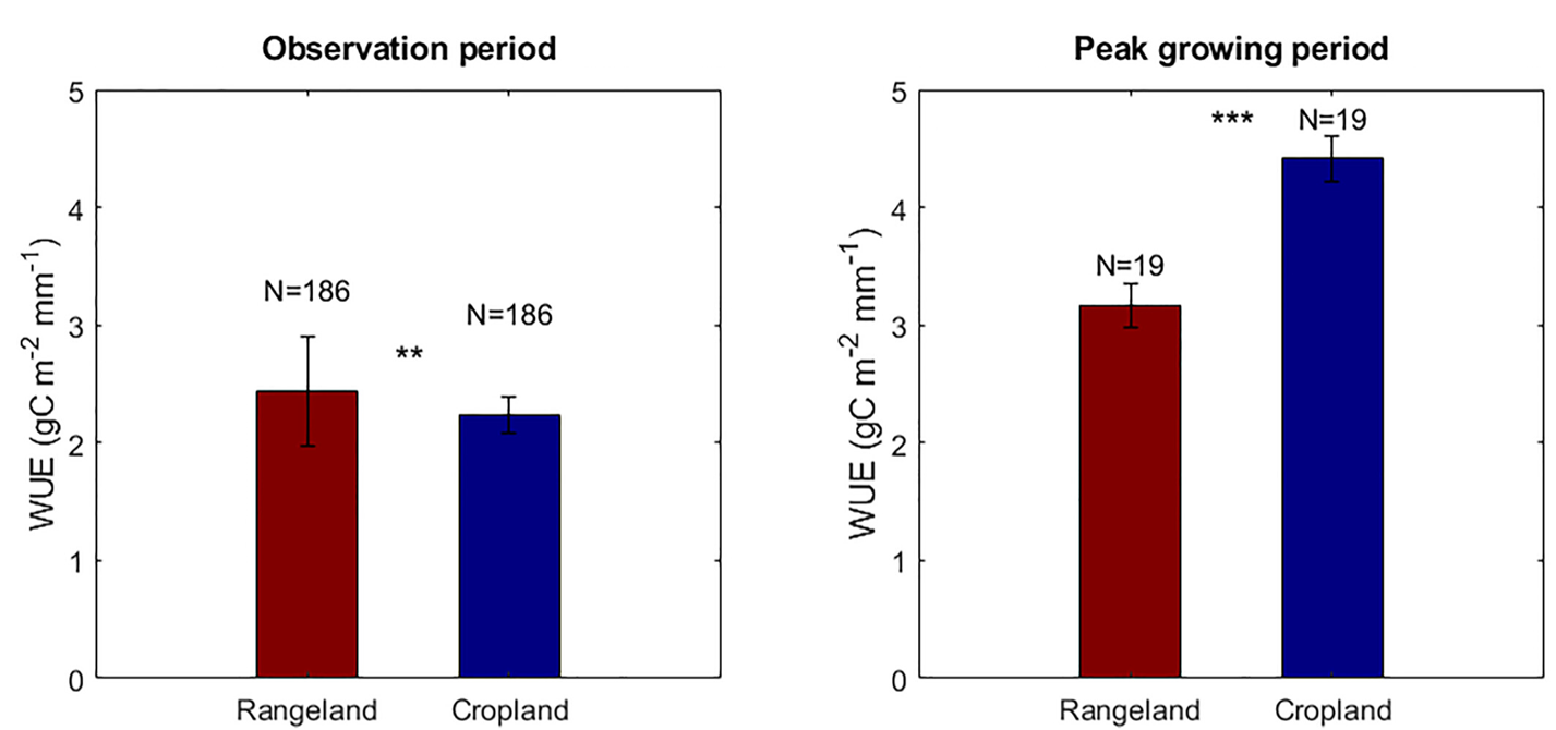 Water use efficiency