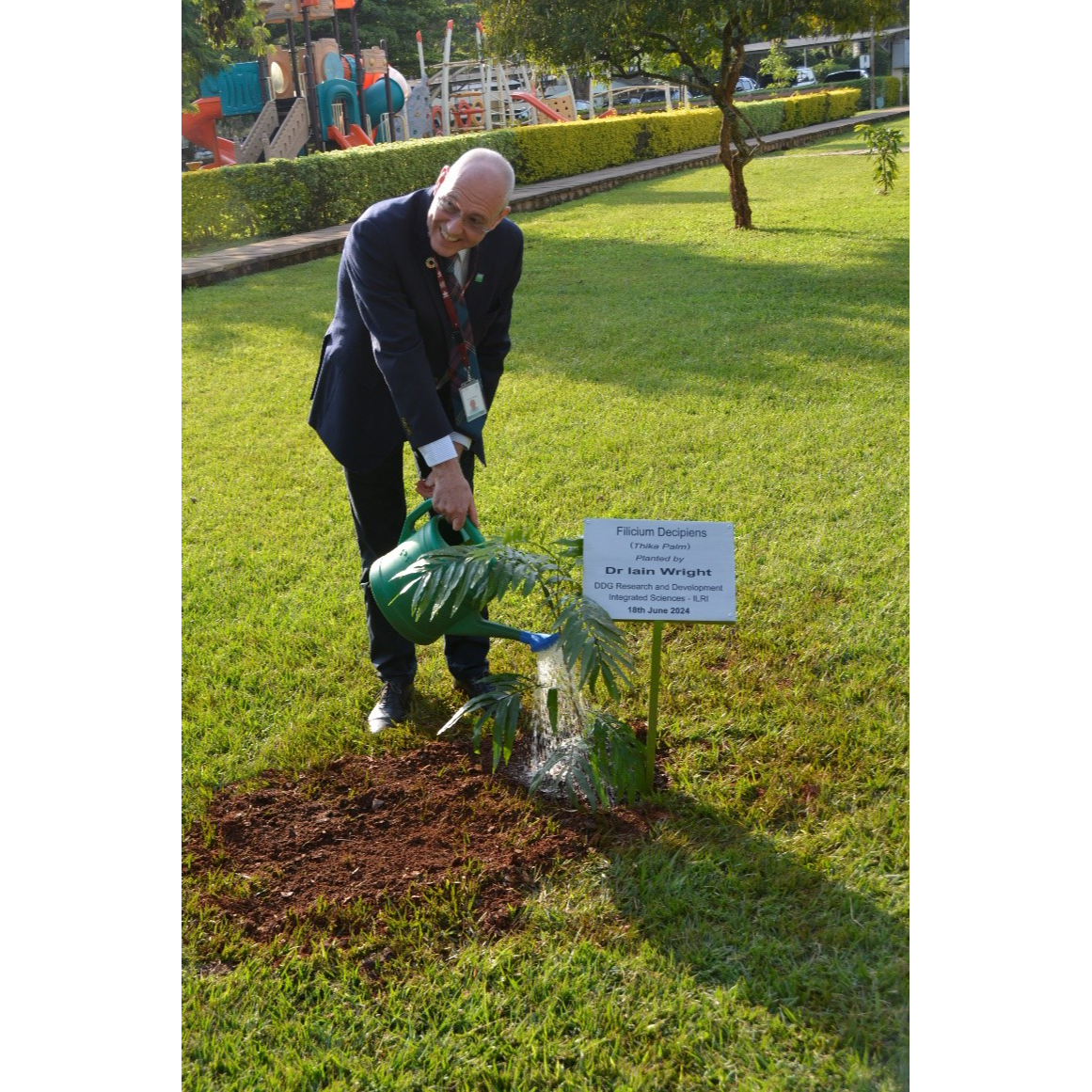 A person watering a plant</p>
<p>Description automatically generated