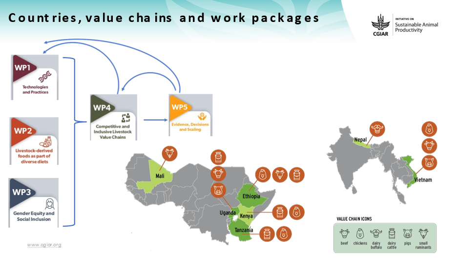 SAPLING countries, value chains and work packages