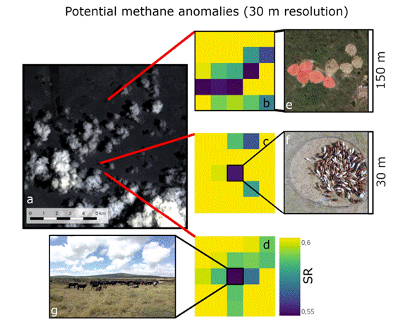 Hyperspectral satellite image from Italy space agency satellite mission PRISMA showing potential methane anomalies over livestock herds at Kapiti.