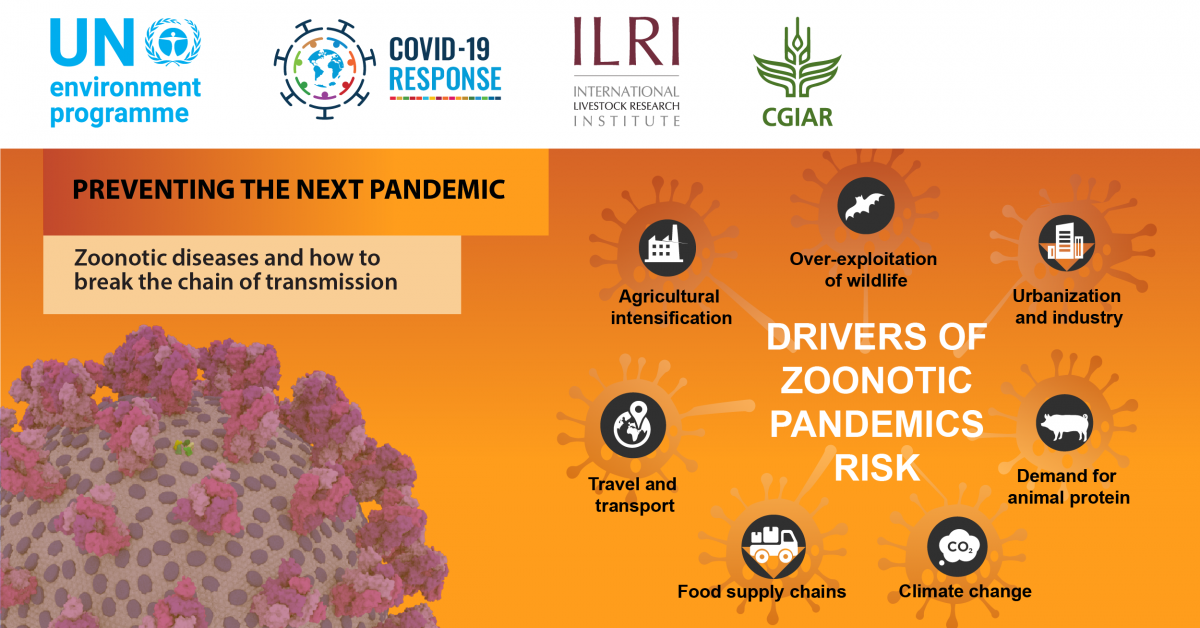 The seven deadly drivers of zoonotic disease pandemics | International