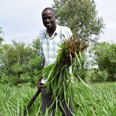 Proud Brachiaria farmer (photo credit Muthoni Njiru/AVCD).