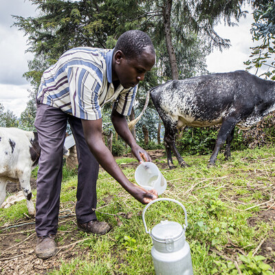 A dairy farmer in Rwanda A dairy farmer in Rwanda