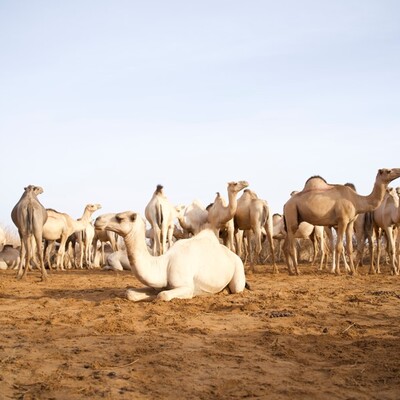 Wajir weather and Climate Pics Wajir weather and Climate Pics