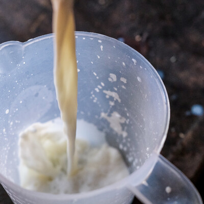 Milk being poured into a jug (ILRI / Kabir Dhanji).