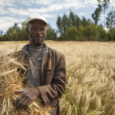 Agriculture is a primary economic pillar in many African countries, offering employment to millions