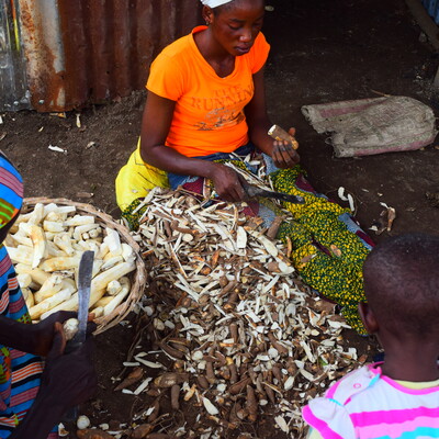 Local processors peeling cassava