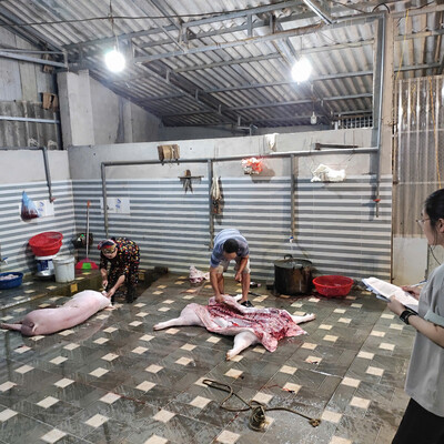 Linh Dang at a field visit to a slaughterhouse in Thai Nguyen province, Vietnam