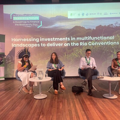 A cross-section of the panelists during the "Harnessing investments in multifunctional landscapes to deliver on the Rio Conventions" Panel held on October 25 at the 7th GLF Investment Case Symposium at COP16 in Cali, Colombia.