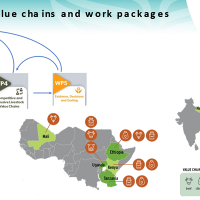 SAPLING countries, value chains and work packages