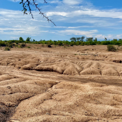 A degraded landscape in western Kenya