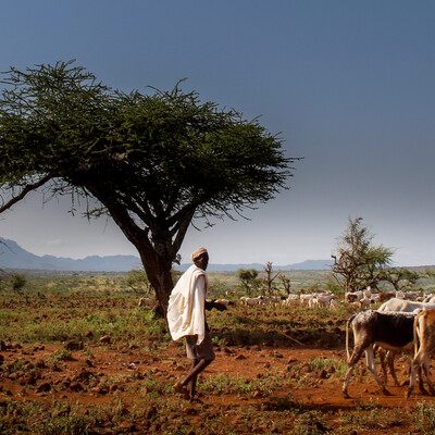 pastoralist in Ethiopia pastoralist in Ethiopia