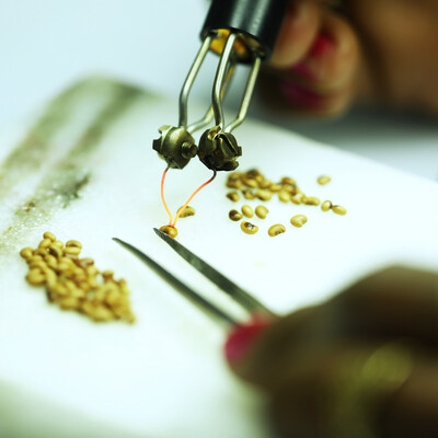 ILRI genebank (photo credit: Crop Trust/Shawn Landersz) ILRI genebank (photo credit: Crop Trust/Shawn Landersz)