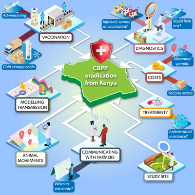 CBPP infographic CBPP infographic