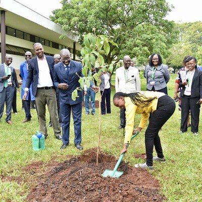 Representatives of the Kenya Dairy Board, ILRI and the dairy sector at a tree-planting ceremony during the MoreMilk 2 launch at the ILRI campus in Nairobi (photo credit: ILRI/Saleef Nyambok).