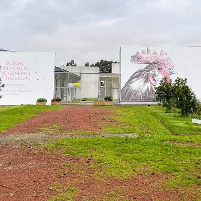 The ILRI poultry facility in Addis Ababa, Ethiopia The ILRI poultry facility in Addis Ababa, Ethiopia