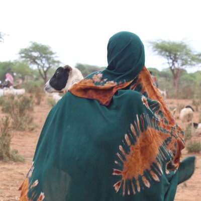 A Somali pastoralist woman carries her child on her back while holding a young goat in her arms, embodying the deep care and connection between family and livestock—essential bonds at the heart of pastoral life (photo credit: University of Glasgow/ILRI / Tsion Afework). A Somali pastoralist woman carries her child on her back while holding a young goat in her arms, embodying the deep care and connection between family and livestock—essential bonds at the heart of pastoral life (photo credit: University of Glasgow/ILRI / Tsion Afework).