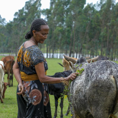 Farmer Kebebush Admasu Farmer Kebebush Admasu