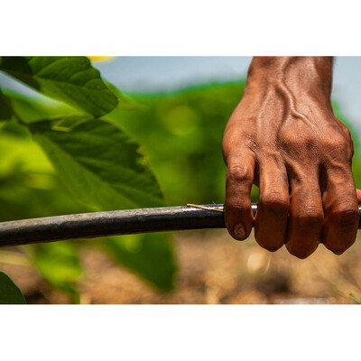 Policy Innovations Policy Innovations