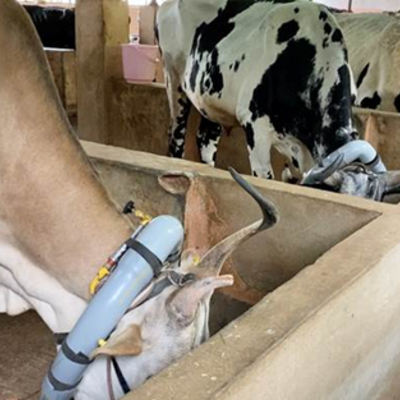 Assessment of Spatio-Temporal Variation in Enteric Methane Emissions and Development of Primary Data Based Inventory Assessment of Spatio-Temporal Variation in Enteric Methane Emissions and Development of Primary Data Based Inventory