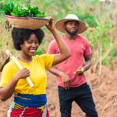 Gender Equality and Social Inclusion Gender Equality and Social Inclusion