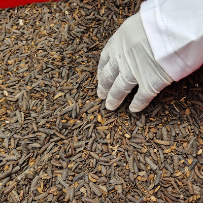 Living Lab for Low Emission Food System Transformation in Nandi County Living Lab for Low Emission Food System Transformation in Nandi County
