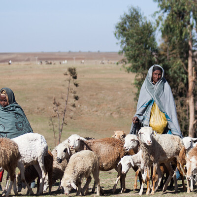 Scaling innovations Scaling innovations