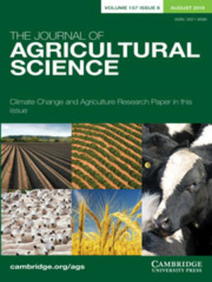 Maize–common bean intercropping to optimize maize-based crop production