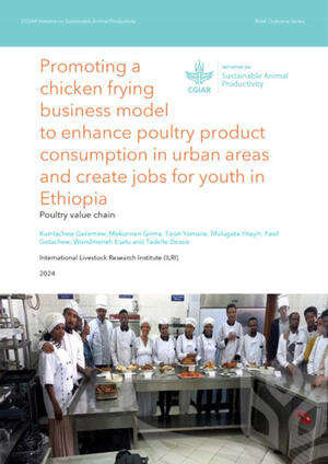 poultry farm business plan pdf in ethiopia