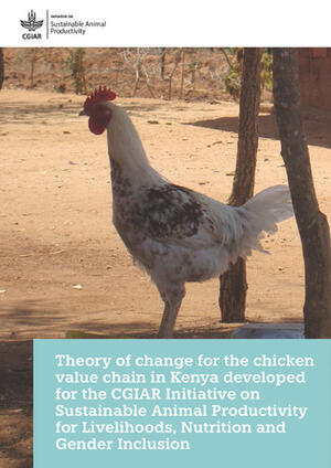 poultry production business plan in ethiopia pdf