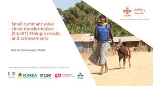 Small Ruminant Value Chain Transformation (SmaRT) Ethiopia Results And ...