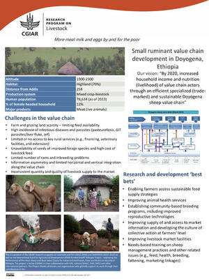 Small Ruminant Value Chain Development In Doyogena, Ethiopia