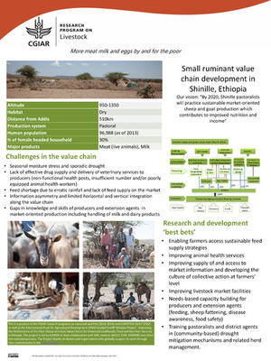 Small Ruminant Value Chain Development In Shinille, Ethiopia