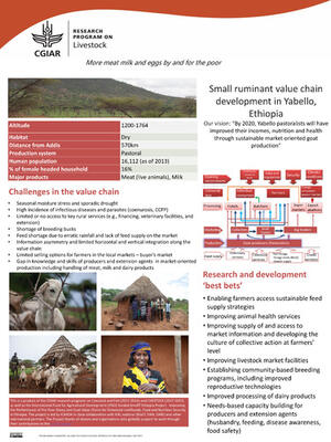 Small Ruminant Value Chain Development In Yabello, Ethiopia