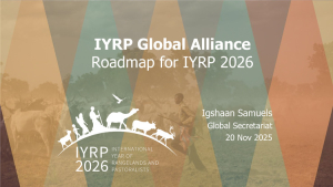 IYRP-GA-road-map-2025.pdf.jpg IYRP-GA-road-map-2025.pdf.jpg