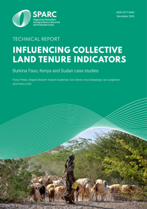 Influencing collective land tenure indicators.pdf.jpg Influencing collective land tenure indicators.pdf.jpg