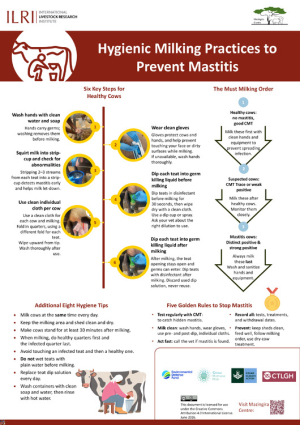 poster_Hygenic milk practices_26june2026.pdf.jpg poster_Hygenic milk practices_26june2026.pdf.jpg