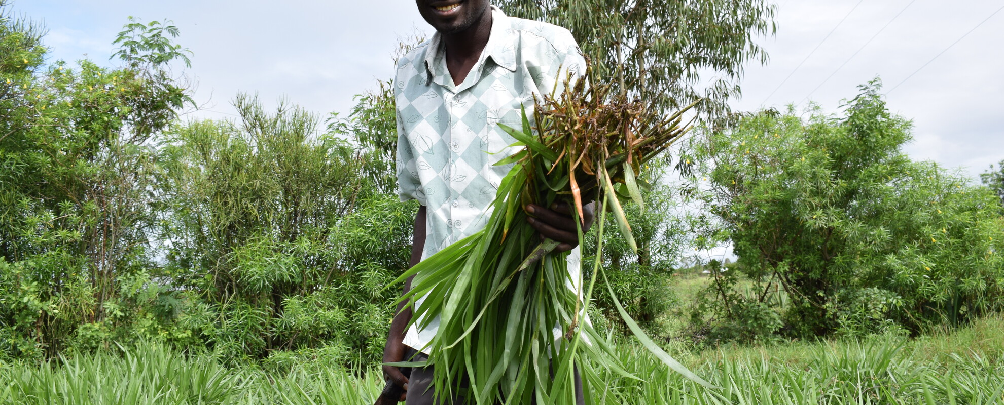 Proud Brachiaria farmer (photo credit Muthoni Njiru/AVCD).