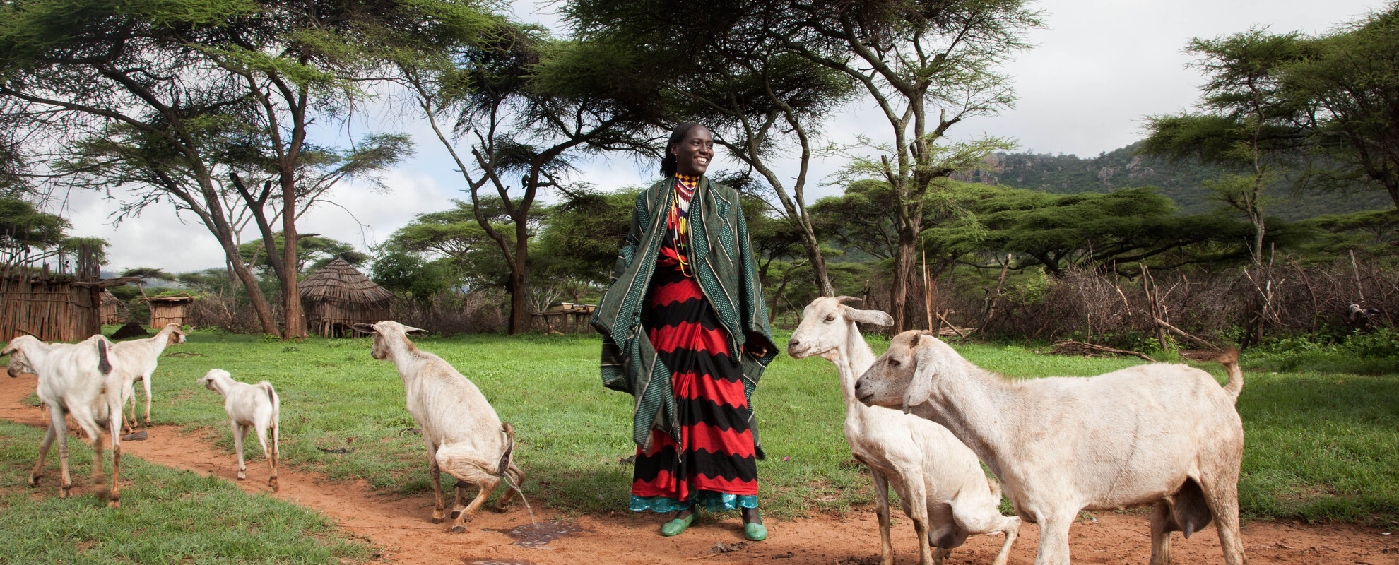 A pastoralist leads her goat for grazing Borana, Ethiopia (photo credit: ILRI/Zerihun Sewunet).