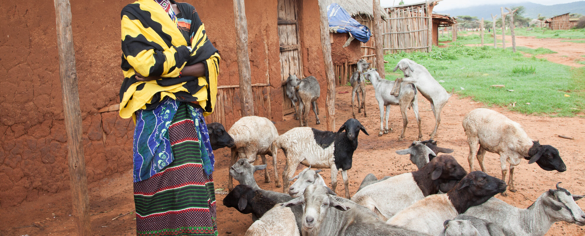 A young Borana woman with her goats (photo credit: ILRI\Zerihun Sewunet).