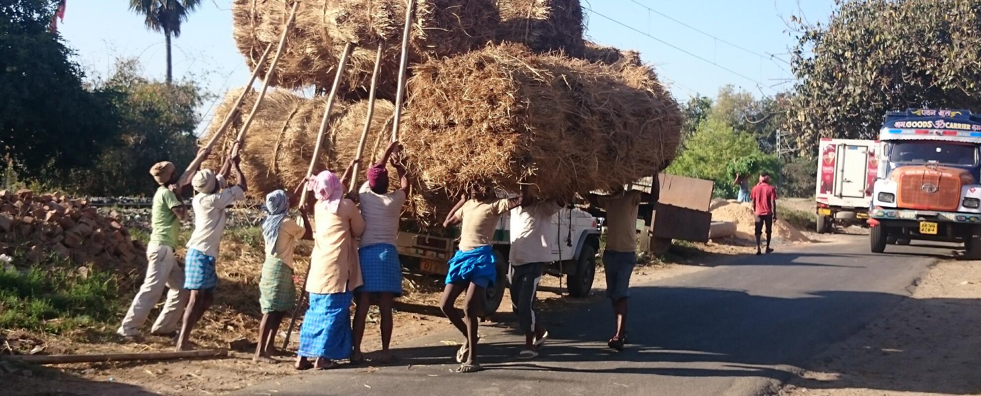 Indian Council Of Agricultural Research And ILRI Review Progress Of ...