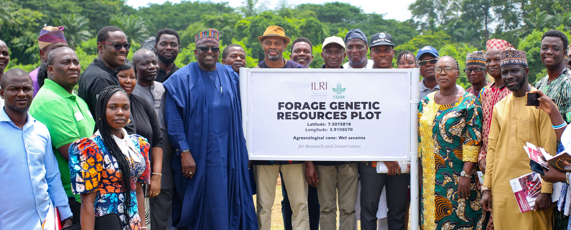 ILRI Forage genetics resources plot