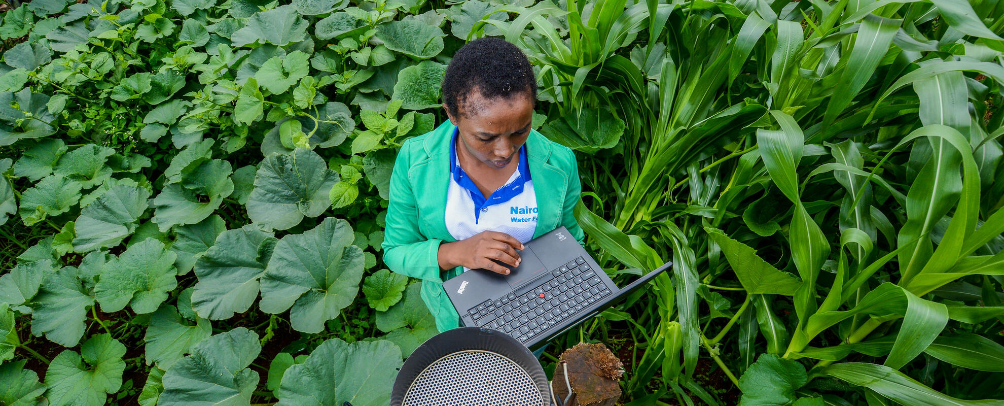 Woman with laptop on the field