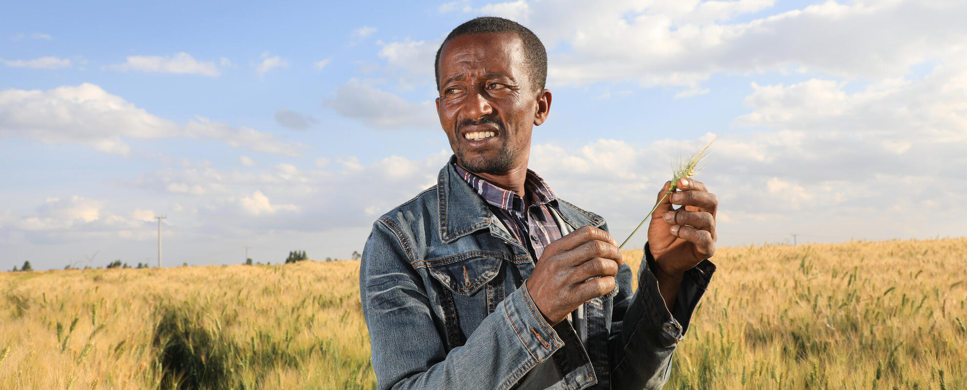 The Africa RISING End-of-Program Report: Highlights of a legacy of agricultural research in development for a sustainable future 