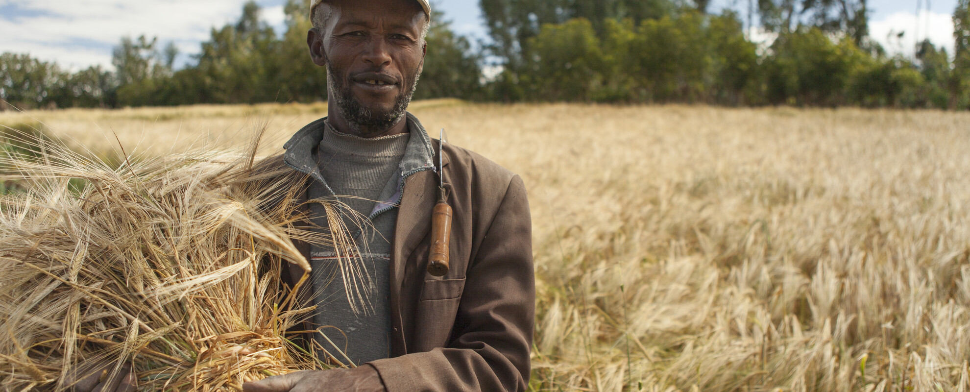 Agriculture is a primary economic pillar in many African countries, offering employment to millions