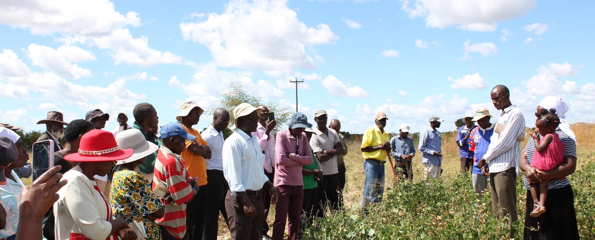 Farmers field day in Shamva District