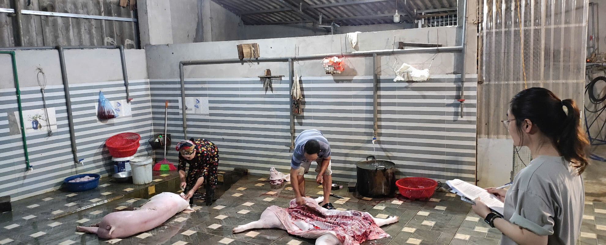 Linh Dang at a field visit to a slaughterhouse in Thai Nguyen province, Vietnam