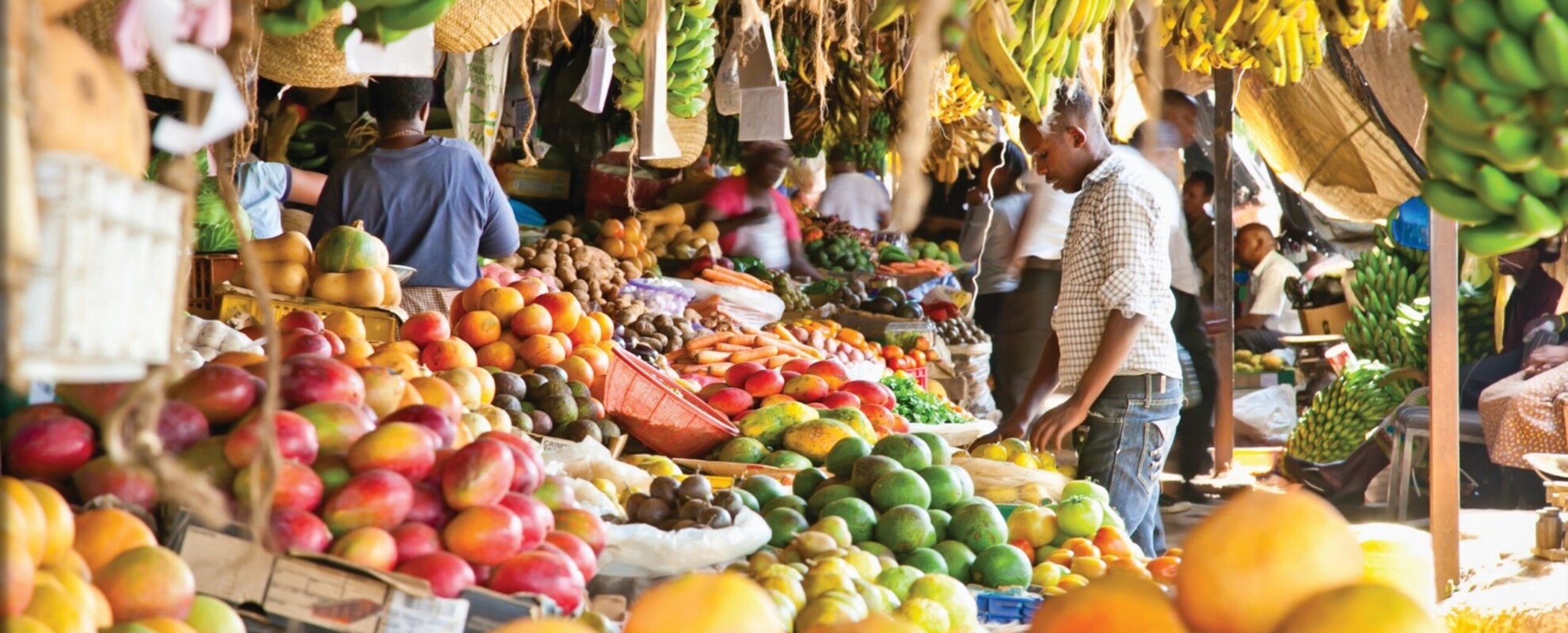 Rationalizing the agriculture produce cess and other market-related levies in Kenya