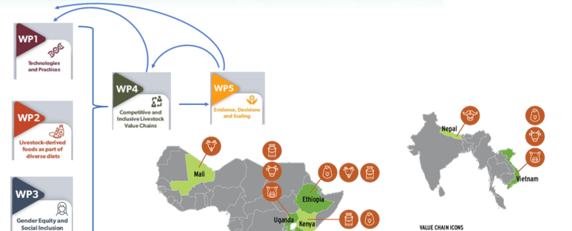 SAPLING countries, value chains and work packages