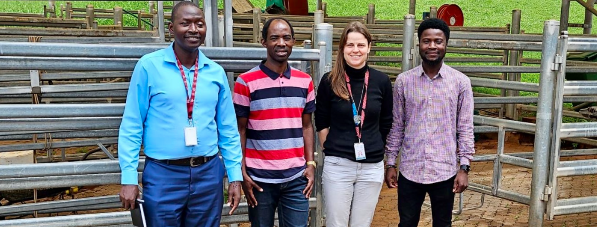 from L-R: Joachine Idibu, Ackim Mwape, Cludia Arndt, and Gaius Segbegnon at ILRI